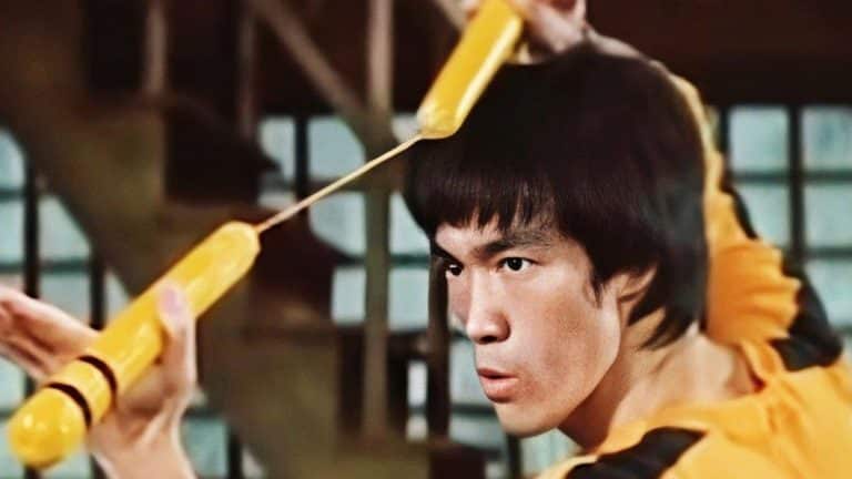 bruce lee sa vráti