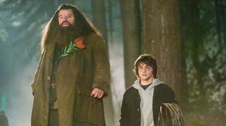 Hagrid