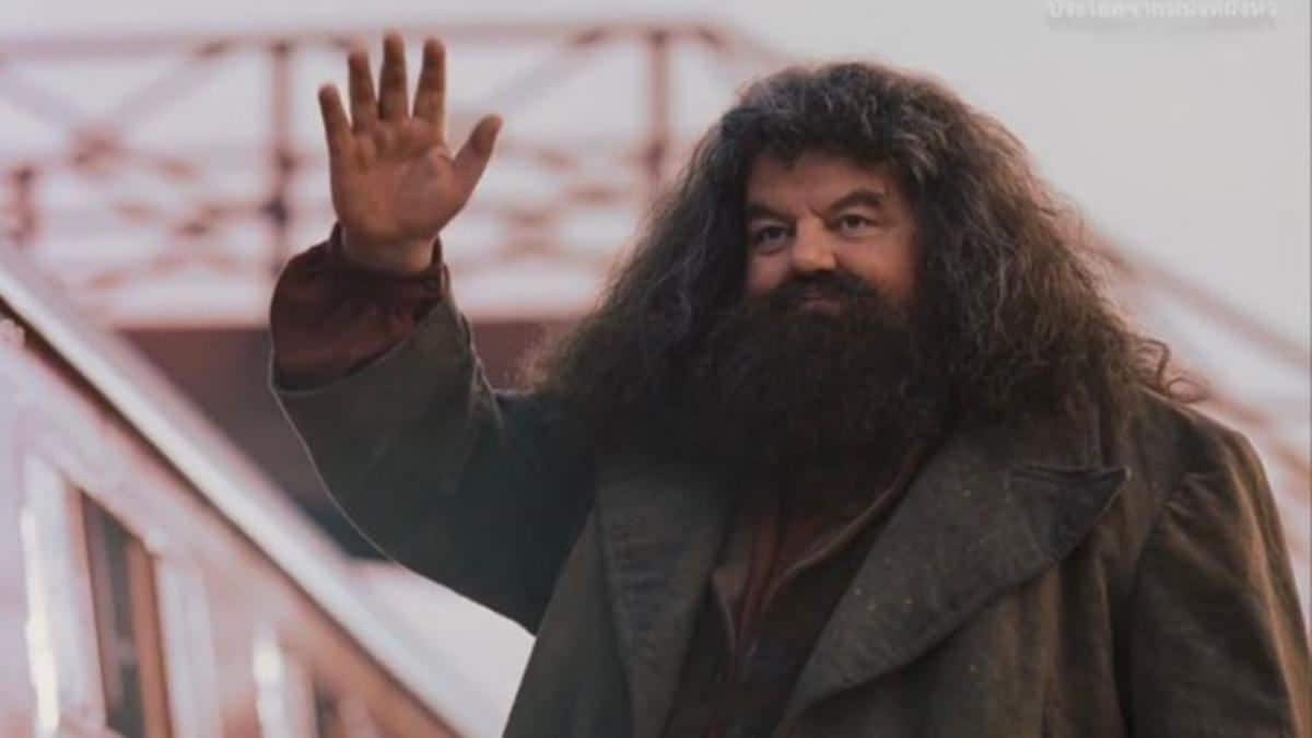 Rubeus Hagrid