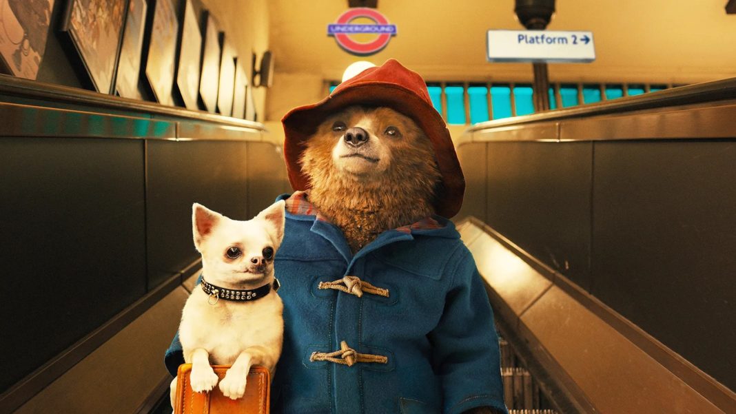 paddington 3