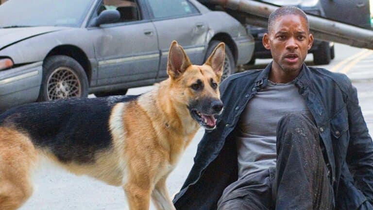 Čakáme naň už 16 rokov. Ja, legenda bude pokračovať, Will Smith odhalil nové detaily